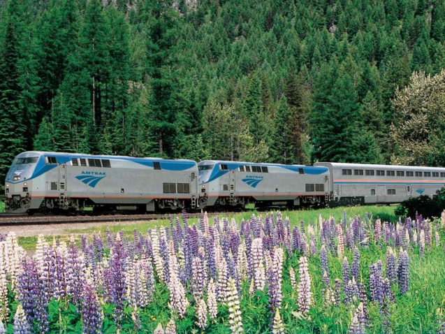 TAL-header-exterior-amtrak-empire-builder-wildflowers-WLDFLWRTRAIN0323-4776e886048644098315aa1789fceed4